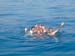 cote0904_53